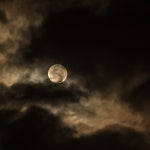 달무리🌕의 프로필 | 스푼 Spoon