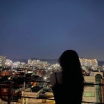 도라이의 프로필 | 스푼 Spoon