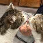 023의 프로필 | 스푼 Spoon