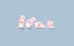 주홍의 프로필 | 스푼 Spoon