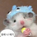 🥔 𝕫゜의 프로필 | 스푼 Spoon