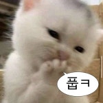 구구(@wnnpr88)의 프로필 | 스푼 Spoon
