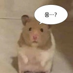 몽스타의 프로필 | 스푼 Spoon
