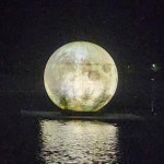 술치 白夜𝄑˚ ‧⚂⚂(@tkdals12)의 프로필 | 스푼 Spoon