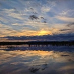 상하(@our110)의 프로필 | 스푼 Spoon