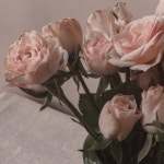 소람 𐦟 ཾ의 프로필 | 스푼 Spoon