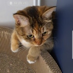 인우(@2m9ol0)의 프로필 | 스푼 Spoon
