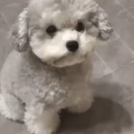 주운의 프로필 | 스푼 Spoon