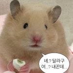 사랑해의 프로필 | 스푼 Spoon