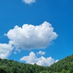 sunny 𖠄 (@2yvn6r)의 프로필 | 스푼 Spoon