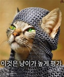 리그오브레전드 인벤 : 평가 높게 하이 냥이 - LOL 인벤 자유 주제 게시판 리그오브레전드 인벤 : 평가 높게 하이 냥이