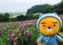 오버워치 인벤 : 뜨억쟝의 여행.jpg - 오버워치 인벤 자유게시판