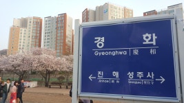 오픈이슈갤러리 | 리니지 인벤