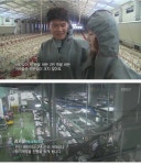 국민간식, 치킨의 거품 - 오픈이슈갤러리 - 인벤 국민간식, 치킨의 거품 - 오픈이슈갤러리