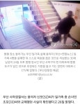 부산 일가족 살해 용의자, 사위라고 생각했던 손녀 전 연인 - 오픈이슈갤러리 - 인벤 부산 일가족 살해 용의자, 사위라고 생각했던 손녀 전 연인... 