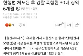 현행범 체포된 후 경찰 폭행한 30대 징역 6개월 - 오픈이슈갤러리 - 인벤 현행범 체포된 후 경찰 폭행한 30대 징역 6개월 - 오픈이슈갤러리