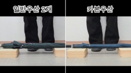 레이니스토어 고티바쉬 스탠다드 초경량 풀카본 장우산 238g (G6113 / G6114)