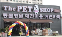 네이버 지도
