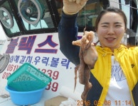 (南)남해조황 - 5/8(일) 어버이날 가족낚시 여수앞바다 도다리 조황입니다.