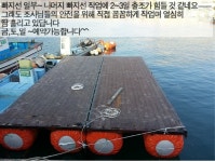 비타민호 살이 오동통~왕오징어~^^(금,토,일예약가능