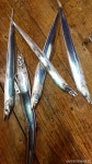바다낚시 > 점주선장조황 > 갈치 씨알급5지,4지~(오늘 자리 널널~예약가능 갈치 씨알급5지4지오늘 자리 널널예약가능