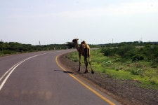  Ethiopia (ኢትዮጵያ)| Country Gallery - Page 10 - SkyscraperCity