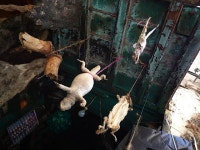  Fes, April 2009 - SkyscraperCity