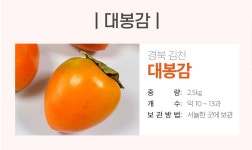 [농부의행복] 김천 대봉감 2.5kg (10~13과) - NS홈쇼핑