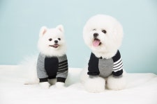 텐바이텐 10X10 : [CHIC LINES COLLECTION]WHITE CHIC T.