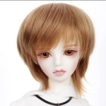 DW 253 시에나 브라운 - (주) 루츠돌 (주)루츠돌