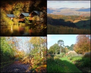 We pick the 10 best places to see Autumn leaves in the UK -