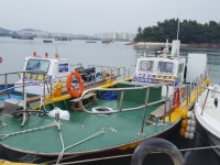 바다낚시 > 점주선장조황 > 해성골드김유석호 좌대 갯바위 갈치낚시 조황 8/10 해성골드김유석호 좌대 갯바위 갈치낚시 조황 810