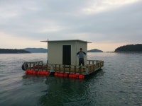 바다낚시 > 점주선장조황 > 해성골드김유석호 갯바위와 좌대소식 8/1일