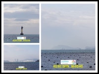 바다낚시 > 점주선장조황 > 2019년 2월 7일 송정대복호 도다리,전갱이등 조황