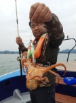 바다낚시 > 점주선장조황 > 문어낚시 매일출조 예약~~~~~~ 문어낚시 매일출조 예약