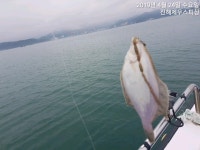바다낚시 > 점주선장조황 > 봄도다리 9회말 역전 홈런 ~^^ 봄도다리 9회말 역전 홈런 