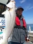 바다낚시 > 점주선장조황 > 21일  격포서울낚시 대박2호 민어조황입니다 21일 격포서울낚시 대박2호 민어조황입니다