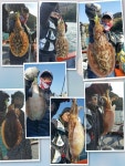 바다루어 > 점주선장조황 > [세일호] 갑돌이 조황~~ 세일호 갑돌이 조황