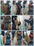 바다루어 > 점주선장조황 > [세일호] 갑돌이 한쿨러~~ 세일호 갑돌이 한쿨러