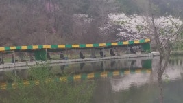 포천길명낚시공원조황 : 낚시사랑