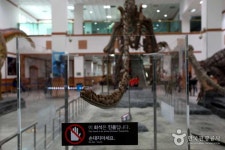201특공여단전우회 | 경남 고성공룡세계엑스포, 공룡나라로 떠나는 봄날 환상 여행 - Daum 카페 경남 고성공룡세계엑스포, 공룡나라로... 