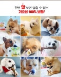 텐바이텐 10X10 : 국대 수제간식 오리안심 고구마말이 60g_(451432)