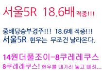 코리아레이스 경마진실장 전문가 게시판 읽기