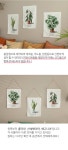 럭키플랜츠2 바란스 - 3design :: 1300K.com 럭키플랜츠2 바란스 - 3design