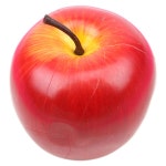 			더리얼스 엠데코:대한민국 대표 플라워 종합쇼핑몰	