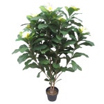 			더리얼스 엠데코:대한민국 대표 플라워 종합쇼핑몰	