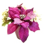 			더리얼스 엠데코:대한민국 대표 플라워 종합쇼핑몰	