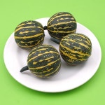 			더리얼스 엠데코:대한민국 대표 플라워 종합쇼핑몰	