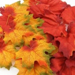 			더리얼스 엠데코:대한민국 대표 플라워 종합쇼핑몰	