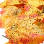 더리얼스 엠데코:대한민국 대표 플라워 종합쇼핑몰